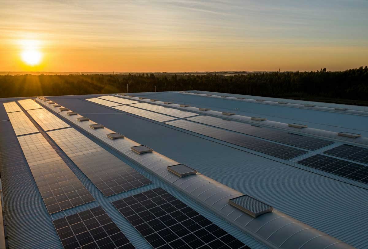 Central Asia attracts global investment in renewable energy