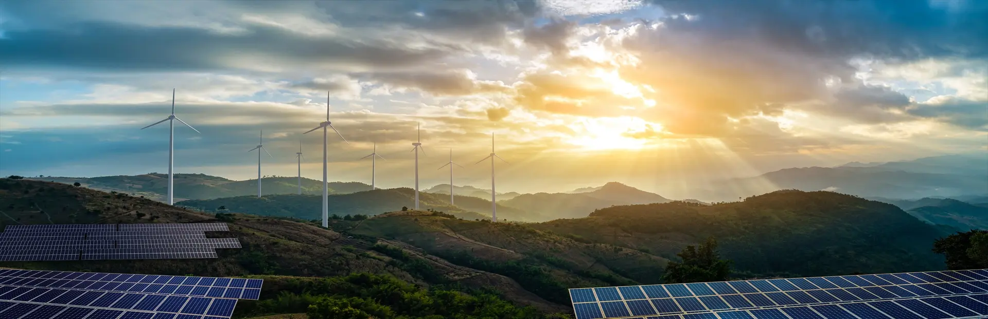 Futureal Energy Partners targets European renewable markets