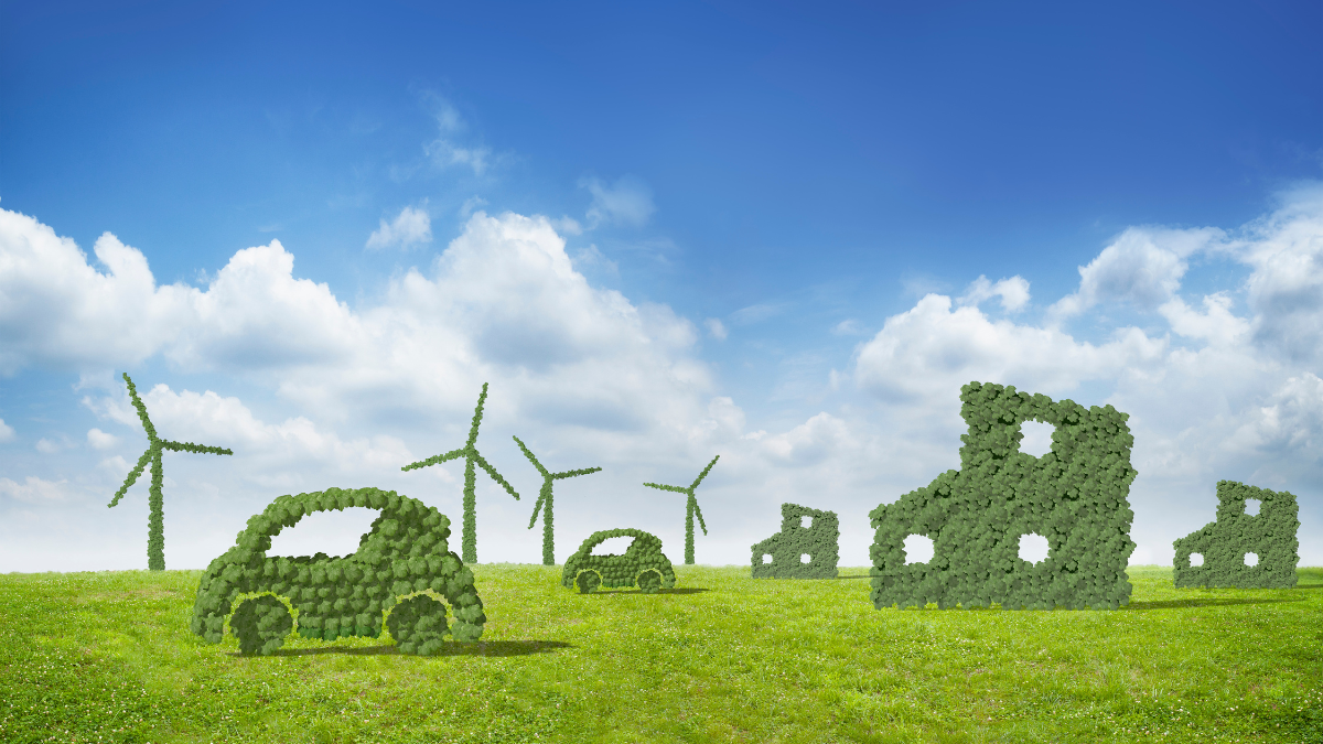 India trains skilled workforce to boost global renewable energy