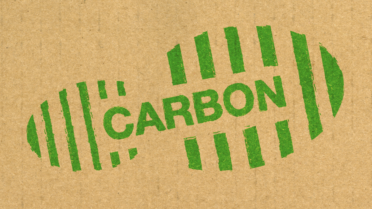 MERLIN, Carbon2Nature Launch 50-Year Reforestation Project