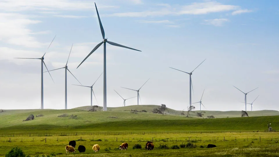 Poland finalizes wind farm bill to boost capacity by 10GW