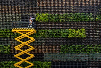 EEA urges biomass innovation to boost EU bioeconomy