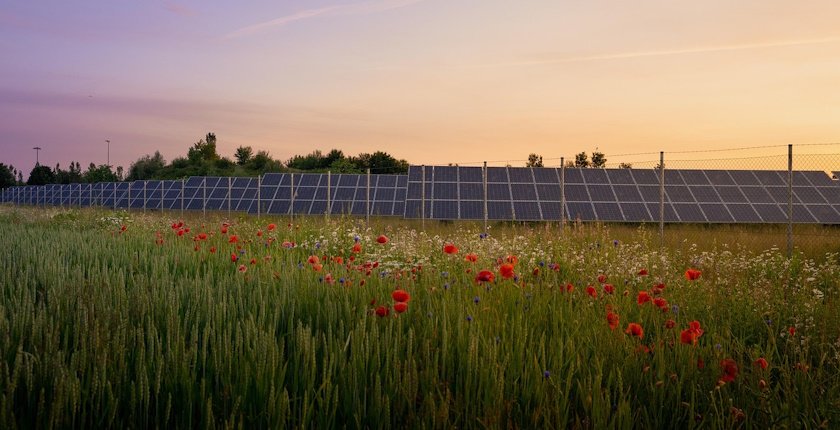 Foreign Investors Expand Renewable Energy Projects in Romania
